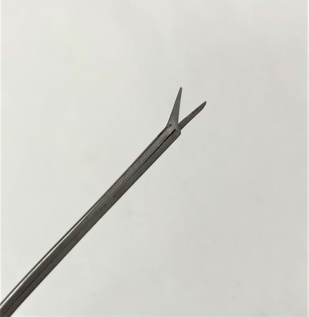Storz, N-1705 QHR, House-Bellucci Alligator Scissors
