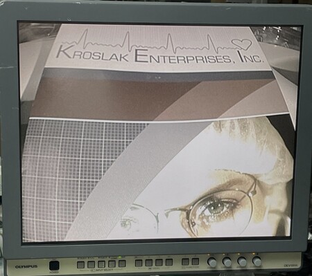 Olympus LTF-VH ENDOEYE FLEX Scope
