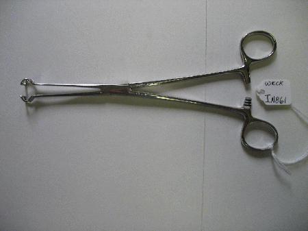 Surgical Instruments Forceps Babcock Tissue Forceps 7.75