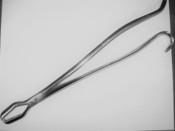 Surgical Instruments Weck Bone Holding Cl..