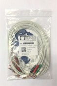 Mortara 9293-041-50 Lead Set